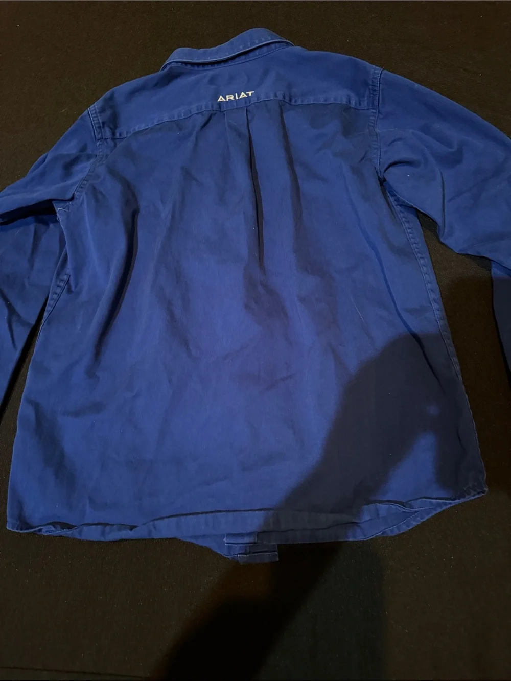 Ariat Men's Button-Down Shirt — Blue with White Logo